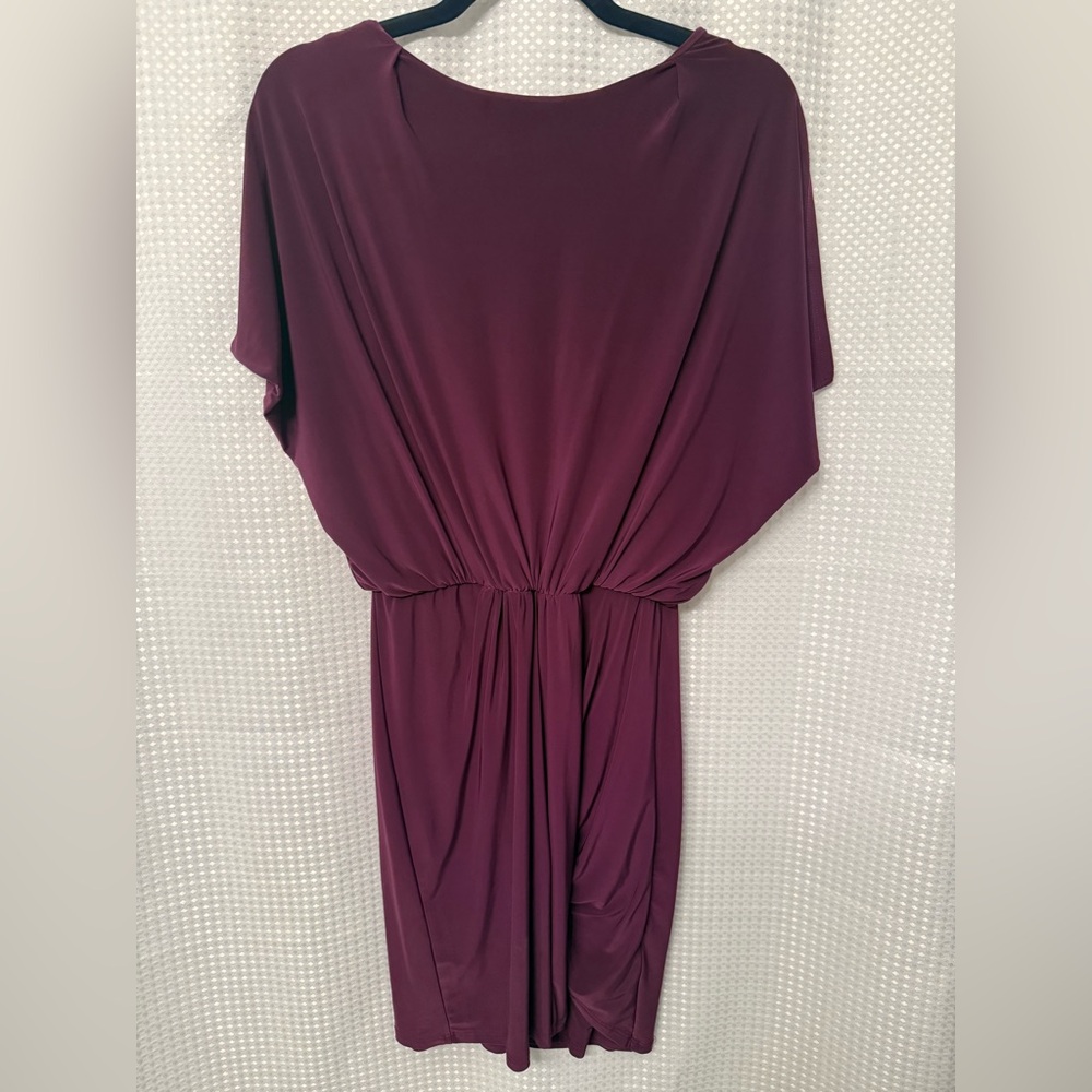 T-Bags Dark Plum Dress